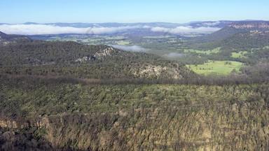 空中镜头森林再生bushfires蓝色的山澳大利亚