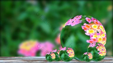 反射粉红色的黄色的马樱丹属卡马拉颜色布鲁姆花园绿色叶背景水晶球玻璃