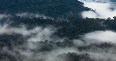间隔拍摄世界最古老的<strong>热带热带</strong>雨林公园国家<strong>马来西亚</strong>
