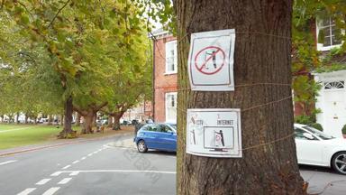 标志树英国附近禁止小便公共