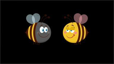 蜜蜂卡通字符夫妇爱
