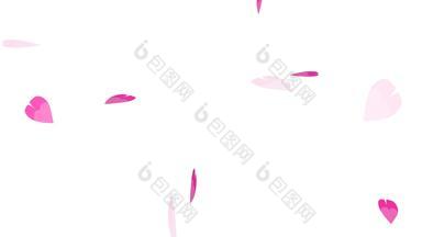 粉红色的樱花叶子粒子慢慢地下降旋转的东西褪了色的背景横幅广告