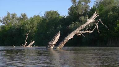 干树河延时摄影