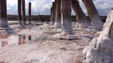 干燥库亚尔尼克河口盐晶体木<strong>柱子</strong>世纪盐行业生态问题干旱