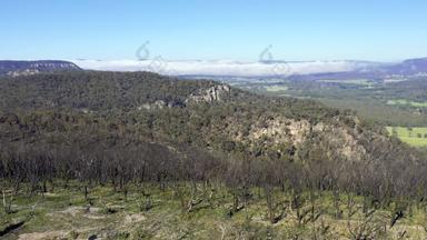 空中起重机镜头森林再生bushfires澳大利亚