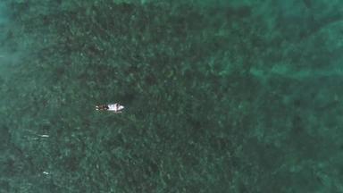 前空中拍摄冲浪者捕捉波海洋鸟眼睛视图高海水冲浪董事会太平洋