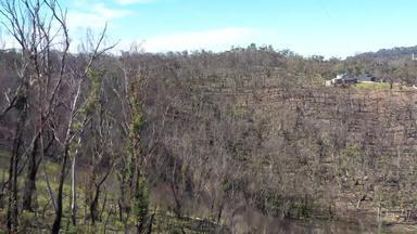 空中镜头森林再生bushfires蓝色的山区域南威尔士澳大利亚
