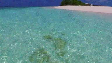 白天旅游异国情调的旅游海滩野生动物绿松石海洋白色沙子背景日出