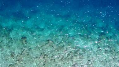 空自然热带环礁湖海滩假期清晰的水白色桑迪背景波