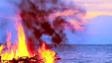 燃烧木垃圾海创建污染海洋生活