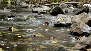 关闭视频水晶清晰的水流动流山森林小瀑布河山自然生态<strong>纯水</strong>