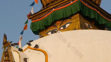 色彩斑斓的祈祷旗帜wawing风佛塔寺庙神圣的宝塔象征尼泊尔加德满都佛的眼睛日落重度营养藏文佛教鸽子飞行古老的体系结构