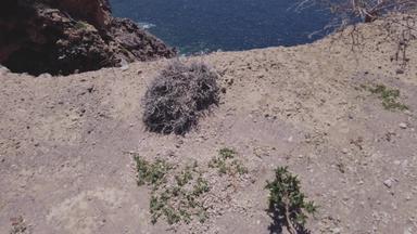 圣托里尼岛全景视图边缘火山口悬崖