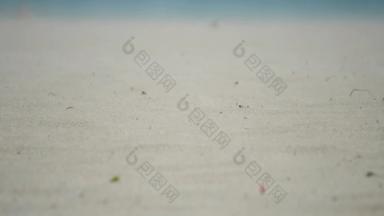 风暴吹沙子海滩甜点特写镜头