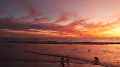 加州夏季海滩审美金日落生动的戏剧性的云太平洋海洋波圣诞老人莫妮卡受欢迎的度假胜地这些洛杉矶美国<strong>大气</strong>喜怒无常的<strong>紫</strong>色的晚上日落