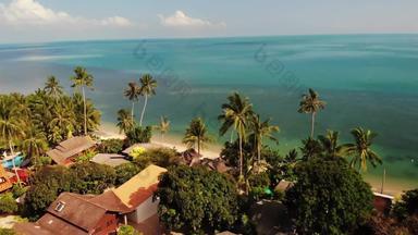 手掌海滩蓝色的海无人机视图热带椰子手掌日益增长的桑迪海岸清洁蓝色的海度假胜地