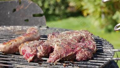 牛肉牛排猪肉香肠烧烤绿色草背景各种各样的美味的烤肉蔬菜铁板煤烧烤各种各样的美味的烤肉