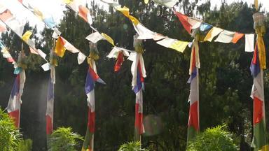 翻转色彩斑斓的祈祷旗帜阳光字符串祈祷旗帜挂绿色树阳光尼泊尔