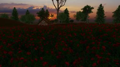 <strong>走红</strong>色的玫瑰房子树背景美丽的日落时间