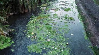 垃圾流黑暗河生态问题环境污染