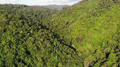 绿色丛林山热带树日益增长的丘陵地形KOH寒岛瀑布山无人机视图热带雨林景观亚洲环境保护概念