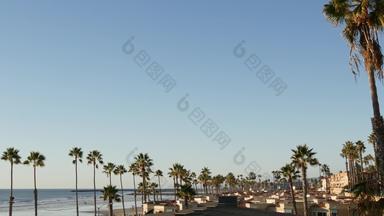 棕榈树的角度来看海滨加州海滨太平洋海洋热带海滩度假胜地美国