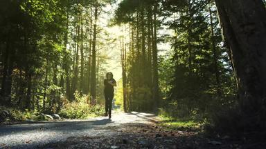 美丽的苗条的女跑步者运行和平森林早....健康的锻炼锻炼概念自然松森林秋天季节性主题