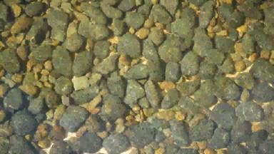 清洁轮石头可见水晶水清洁水晶水轮灰色黄色的鹅卵石海边底山河泰国自然背景