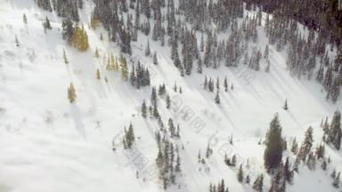 空中视图直升机飞行森林山西伯利亚