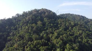 空中视图飞向上<strong>热带热带</strong>雨林<strong>马来西亚</strong>