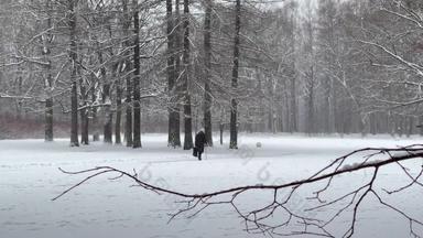 下雪公园上了年纪的人棒冬天树人走山丘树干树的角度来看树干落叶松森林摘要背景