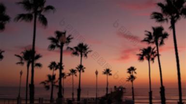 散焦手掌《暮光之城》天空加州美国热带海滩日落大气这些洛杉矶共鸣