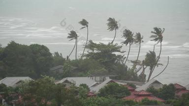 pabuk台风海洋海海岸泰国自然灾难眼壁飓风强大的极端的强热带风暴风摇摆棕榈树热带洪水<strong>雨季</strong>节重热带风暴天气雷雨