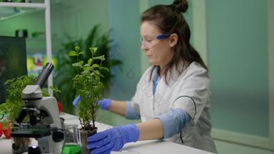 植物学家研究员测量树苗植物学实验