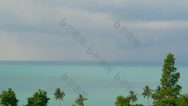 异国情调的椰子棕榈树移动风热带海景观田园天堂岛海滩