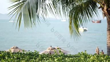 棕榈海边船宁静波令人惊异的景观色彩斑斓的船卡尔水绿色植物海滩阳光明媚的一天放松旅行假期假期度假胜地概念天堂热带岛