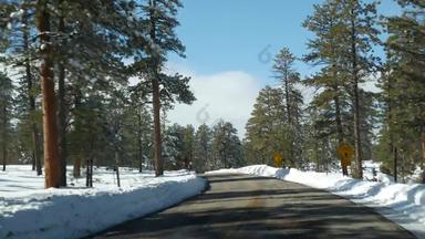雪寒冷的森林开车汽车路旅行冬天犹他州美国松柏科的松树视图车挡风玻璃圣诞节假期12月旅程布莱斯峡谷生态旅游森林