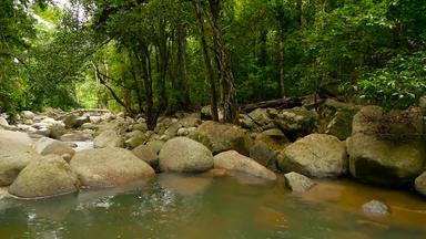<strong>山河</strong>流动热带雨林没完没了的冥想<strong>视频</strong>流热带异国情调的丛林森林溪流深木石头级联瀑布绿色植物树无缝的循环