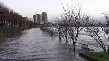 洪水莱茵河科隆德国