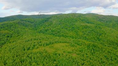 空中视图绿色森林高地