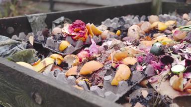 特写镜头相机锅食物浪费堆肥堆有机肥料创建过程