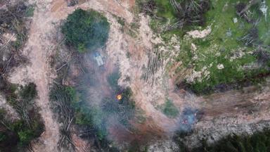 空中视图拖拉机涉及开放燃烧石油棕榈树