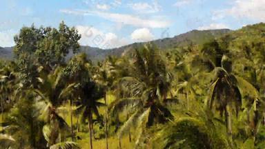 空中无人机视图岛景观椰子棕榈种植园泰国自然田园天堂场景山山热带异国情调的野生丛林绿色热带雨林森林砍伐环境损害