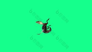 垂直视频aninmation蜜蜂黄蜂苍蝇攻击绿色屏幕
