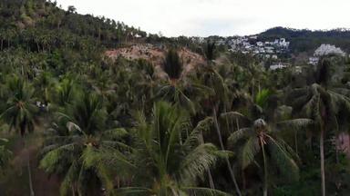 热带地形覆盖濒临灭绝的森林奢侈品别墅无人机视图大热带地区生态系统干扰由于建筑森林砍伐KOH寒椰子棕榈种植园