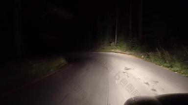开车车路晚上黑暗视图司机旅行交通晚上低可见性路观点