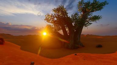 单Baobab树非洲沙漠日落