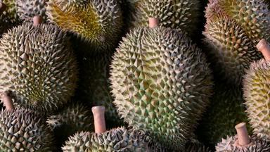 亚洲王水果榴莲计数器晚上市场泰国
