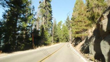开车汽车红杉资本森林的角度来看视图车大红木松柏科的树巷道国王峡谷路旅行国家公园北部加州美国搭便车旅行