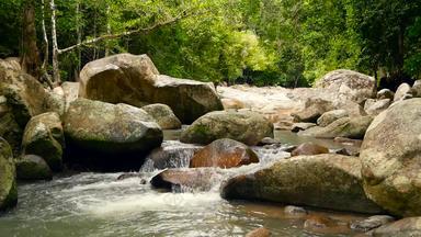 山河流动热带雨林没完没了的冥想视频流热带异国情调的丛林森林溪流深木石头级联瀑布绿色植物树无缝的循环